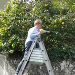 La Heraudiere ベッド・アンド・ブレックファスト 3*