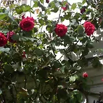 La Heraudiere ベッド・アンド・ブレックファスト