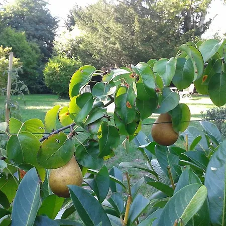 La Heraudiere فندق مبيت وإفطار 3*