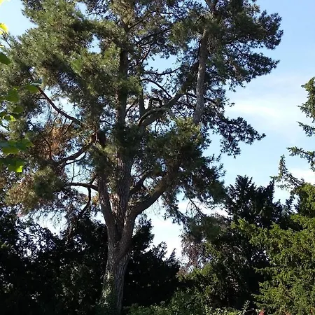 La Heraudiere