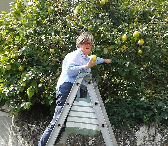 La Heraudiere Bed & Breakfast 3*