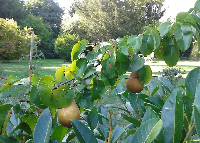 La Heraudiere Oda ve Kahvaltı 3*